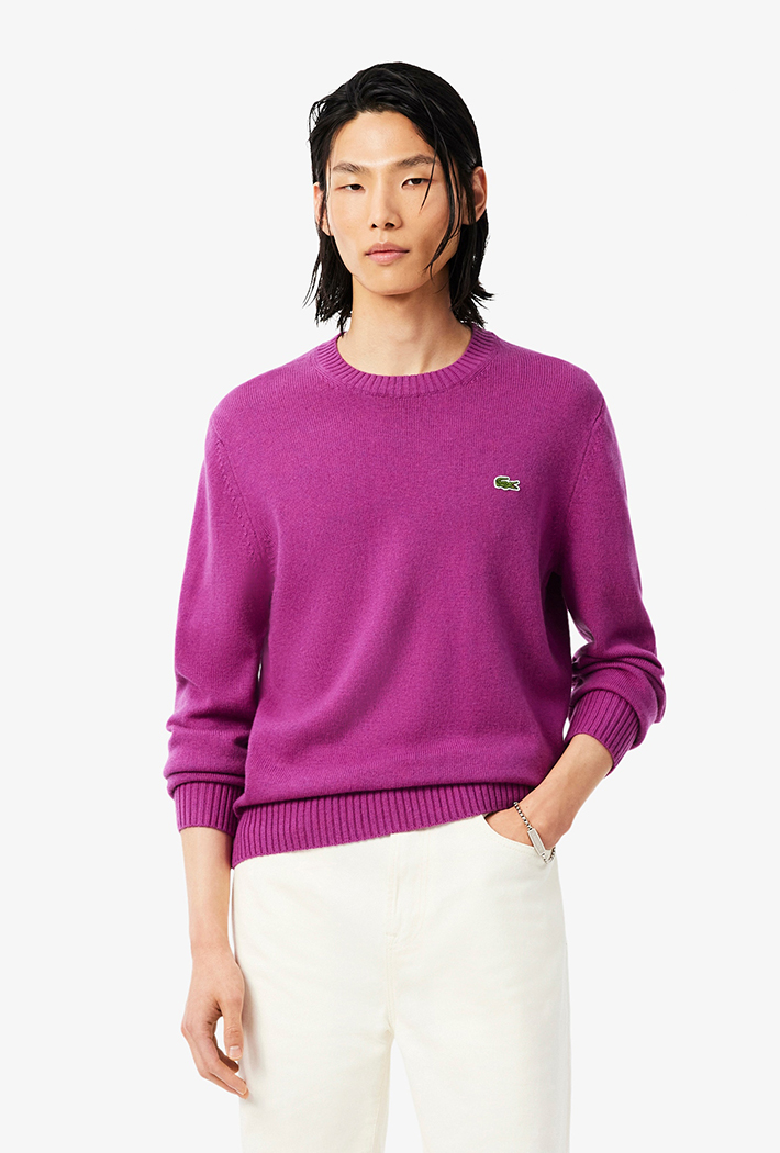 Lacoste Wool Crew Neck Sweater
